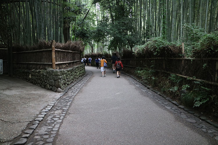 竹林の道
