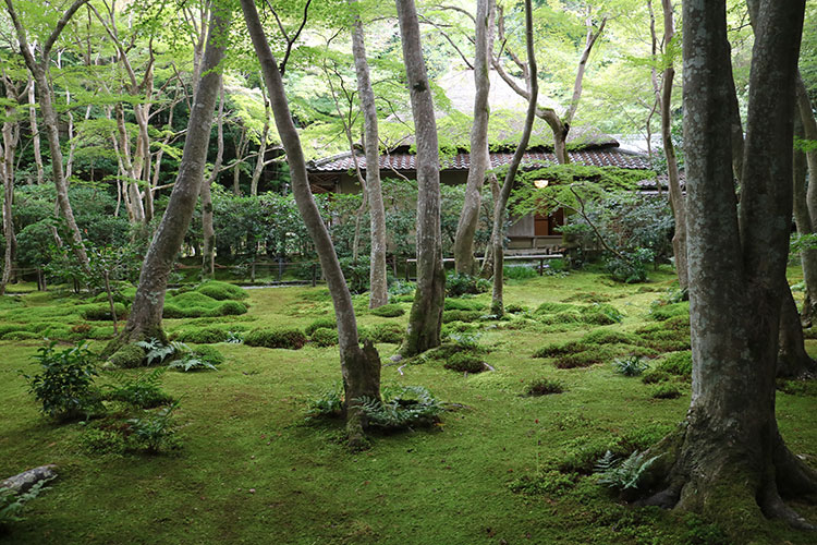 祇王寺