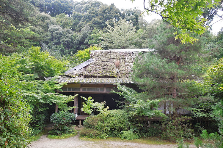 滝口寺