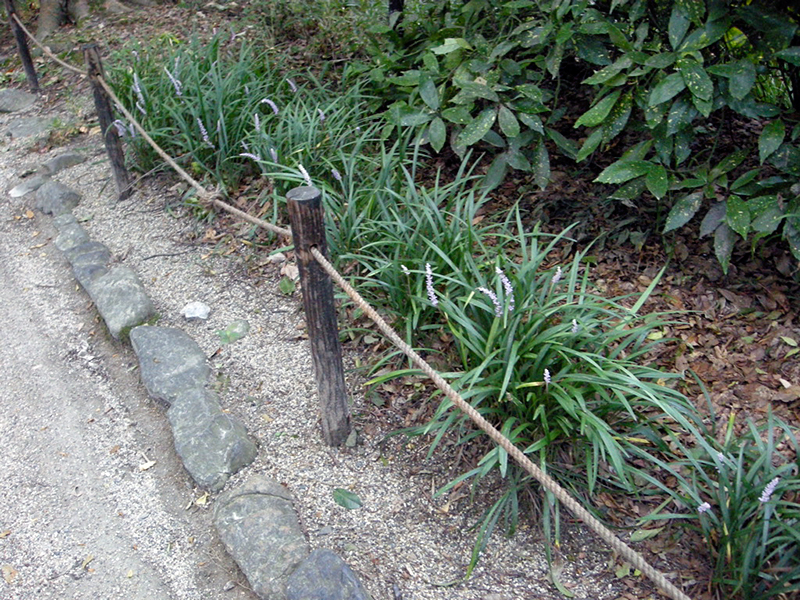 下鴨神社（賀茂御祖神社）