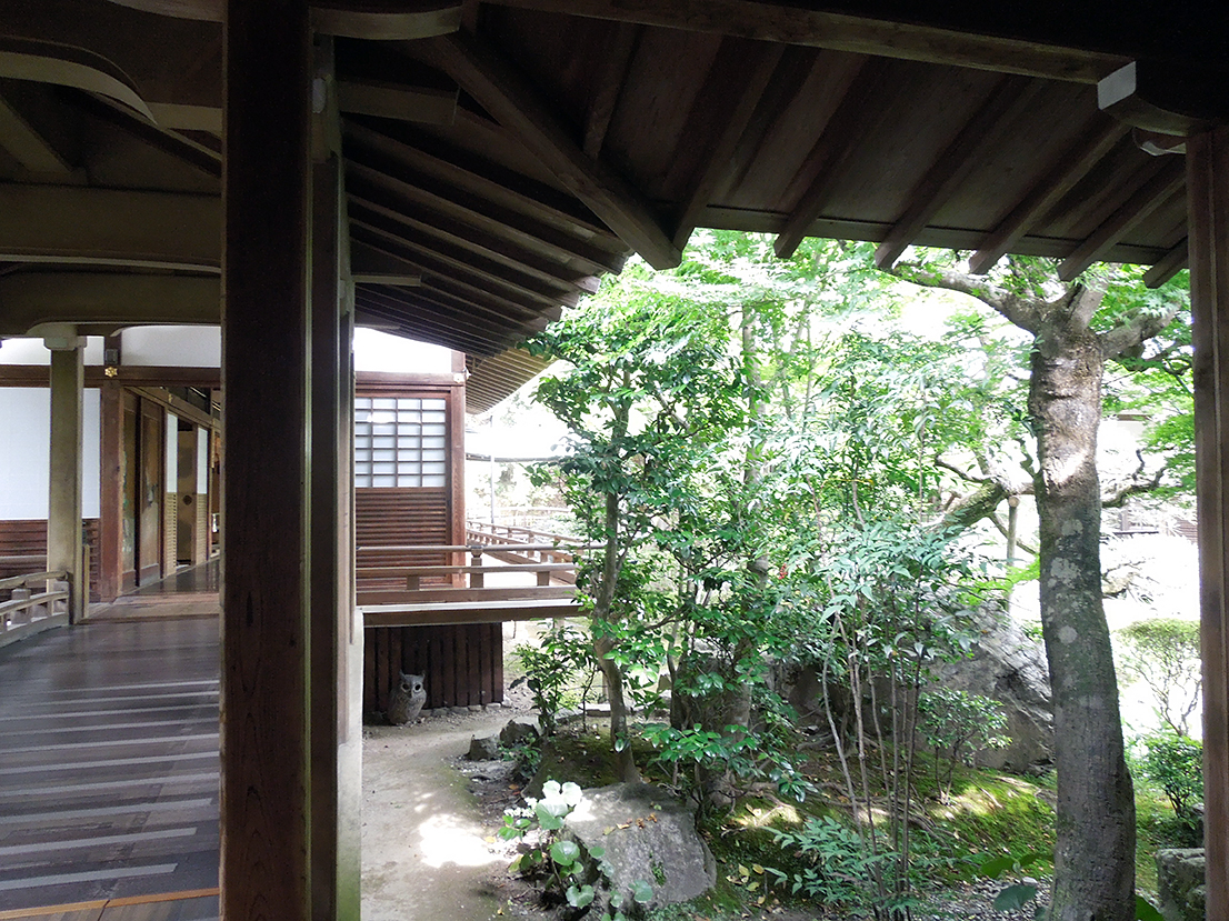 永観堂 禅林寺