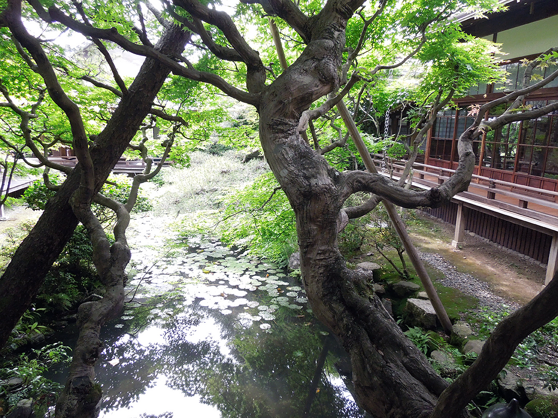 永観堂 禅林寺