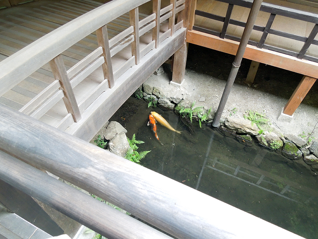 永観堂 禅林寺