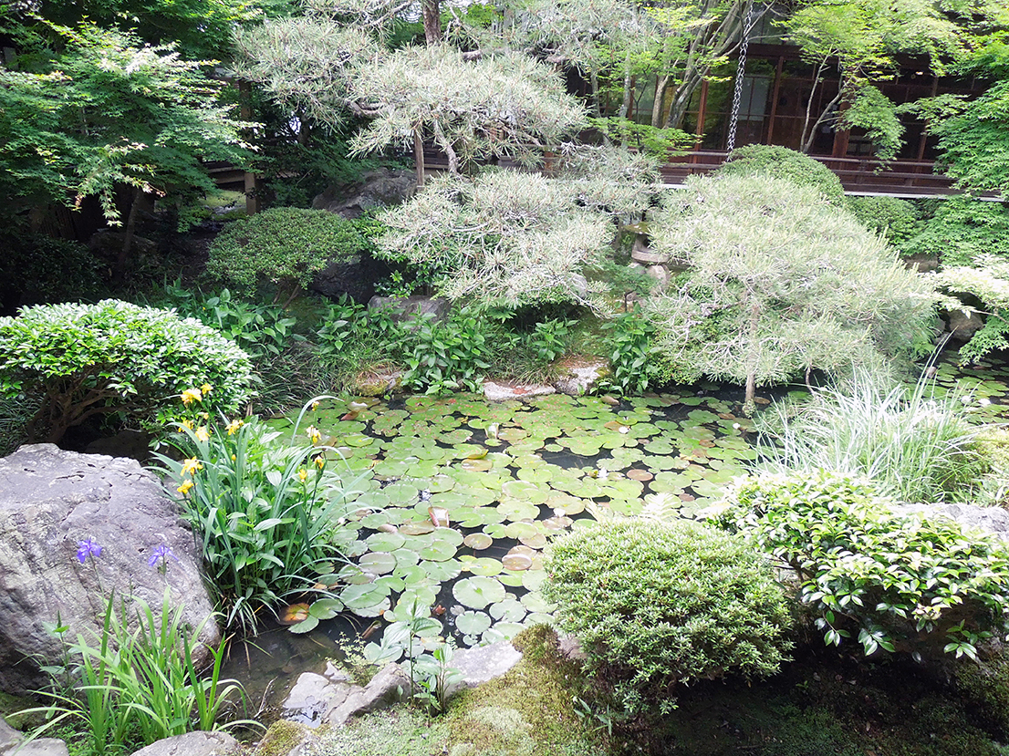 永観堂 禅林寺