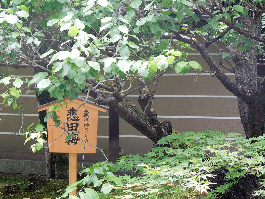 永観堂 禅林寺