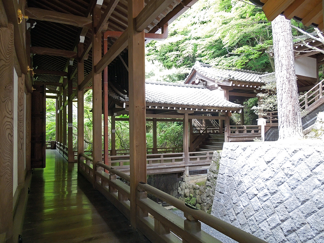 永観堂 禅林寺