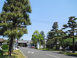 妙心寺