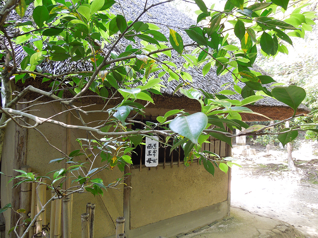 金福寺