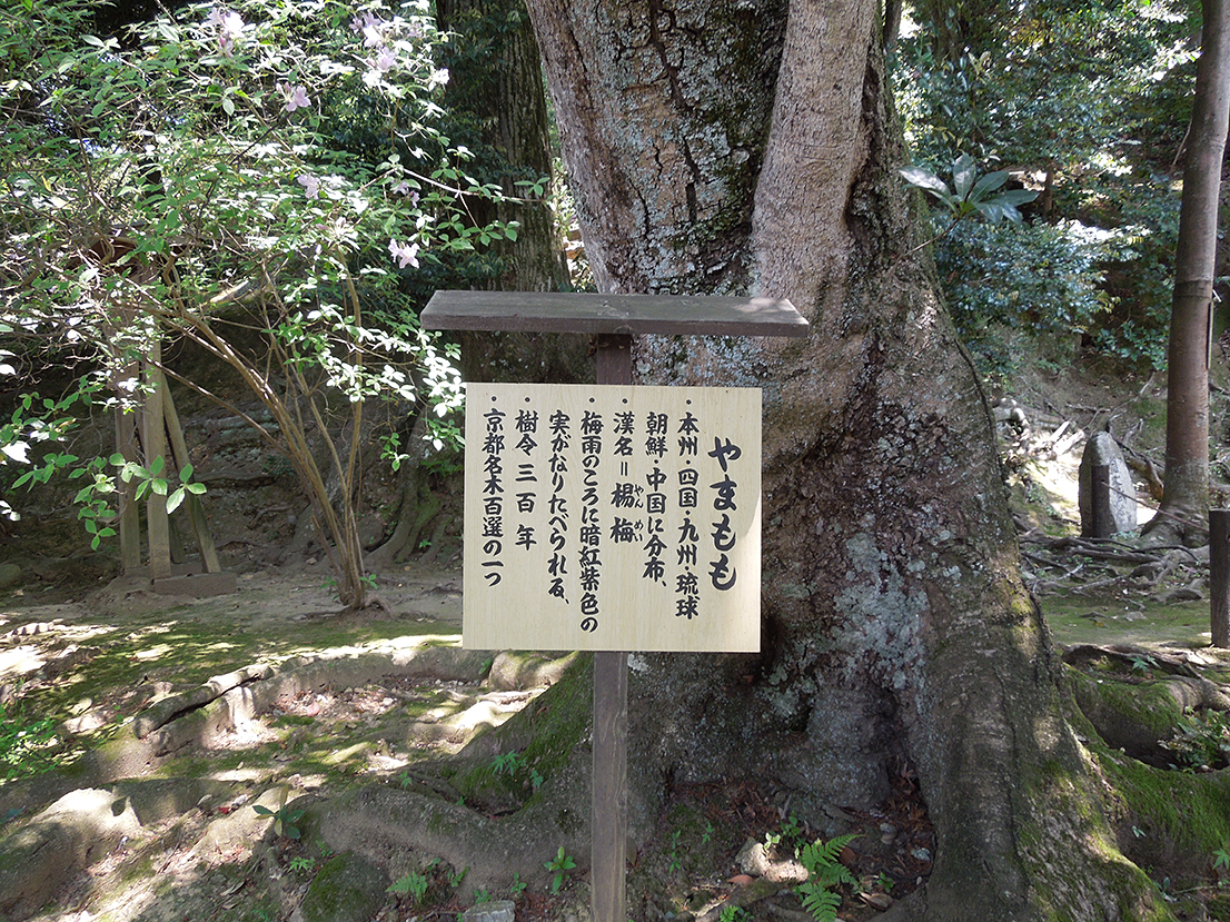 金福寺