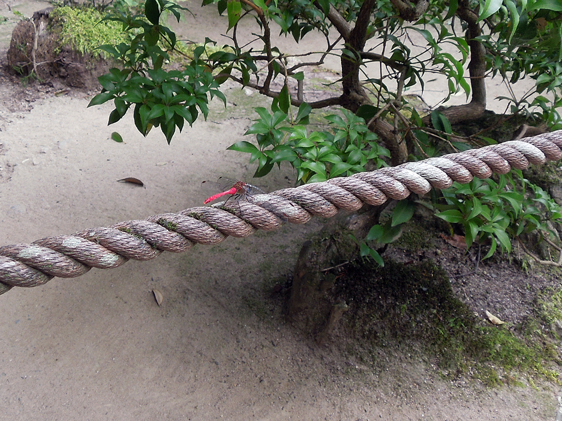 南禅院（南禅寺別院）