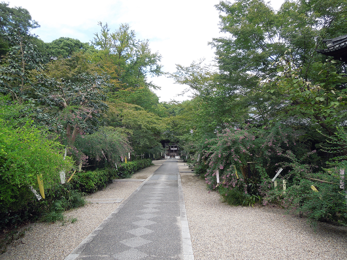 梨木神社