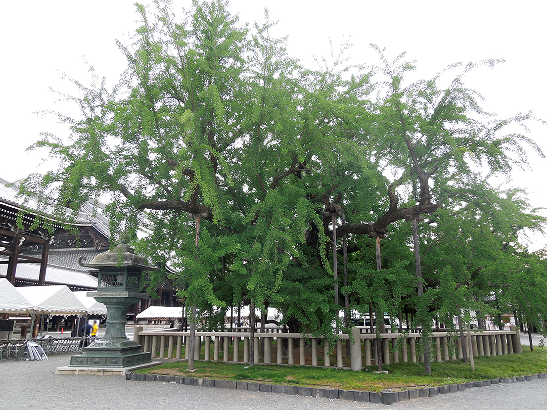 西本願寺