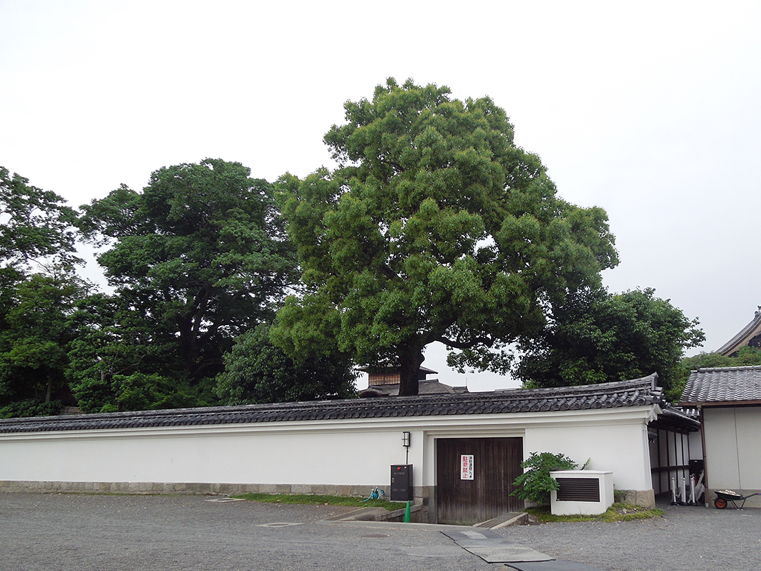 西本願寺