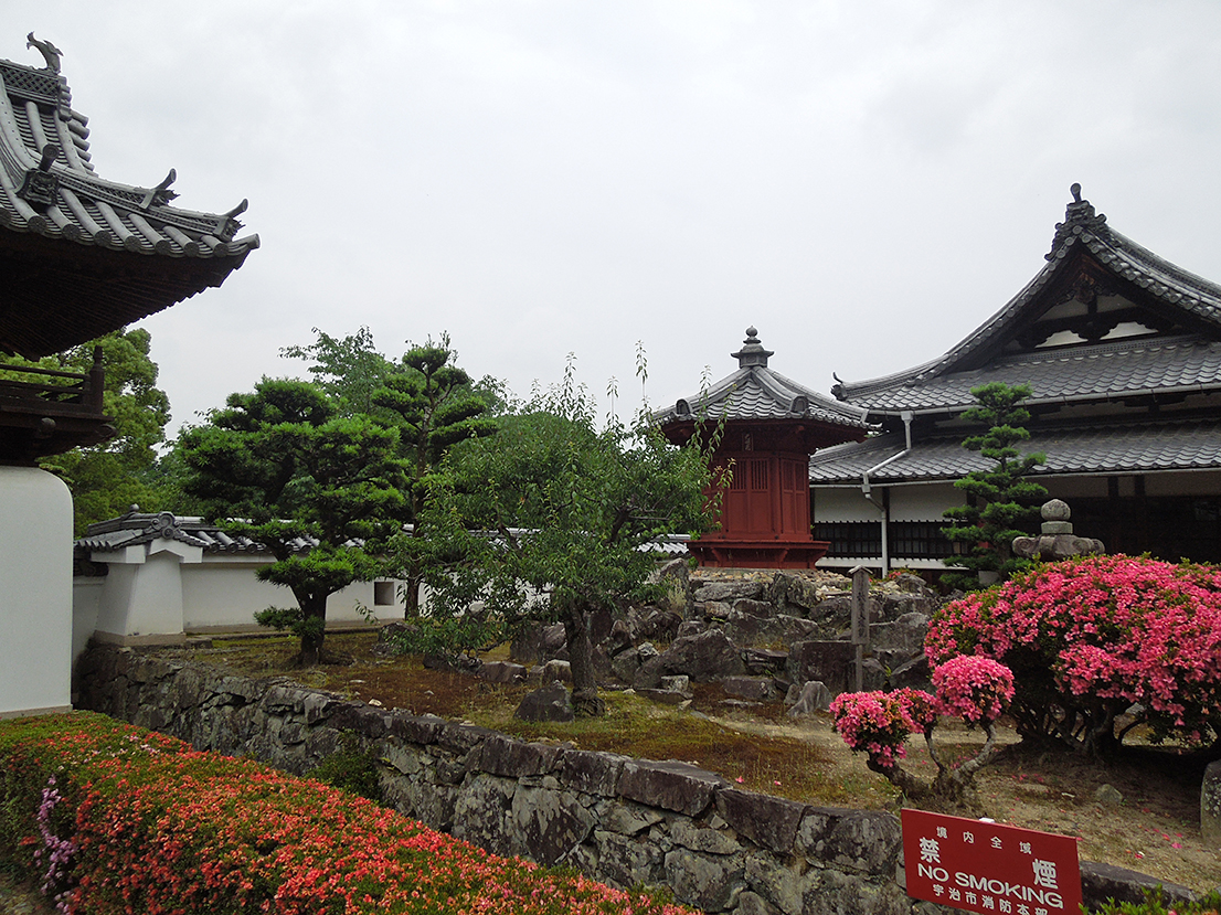 興聖寺