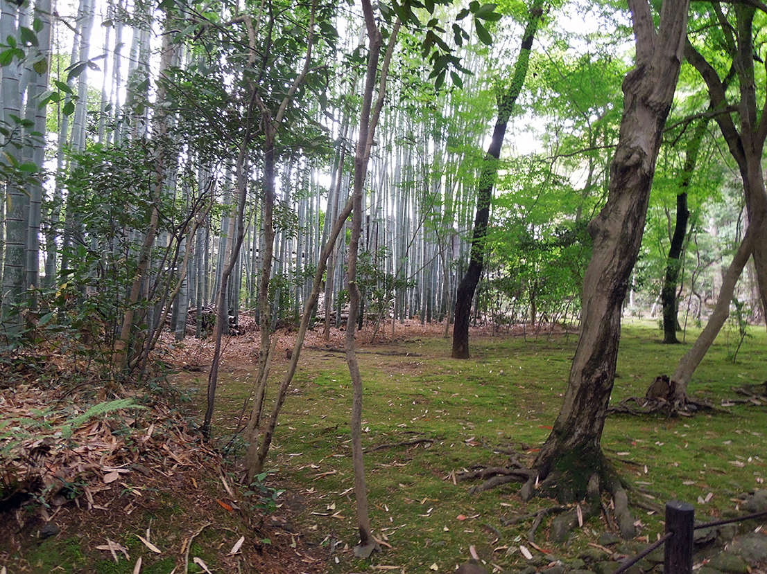 地蔵院