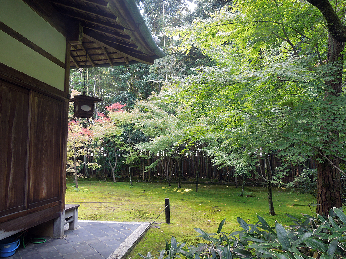 高桐院（大徳寺塔頭）