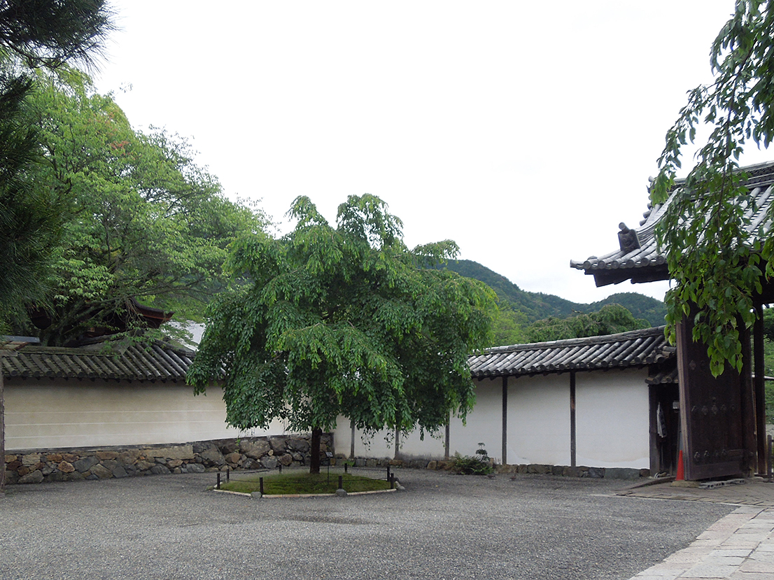 醍醐寺