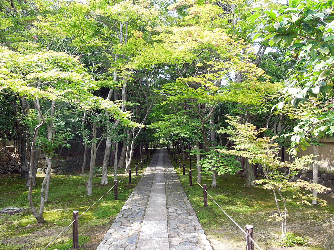 鹿王院