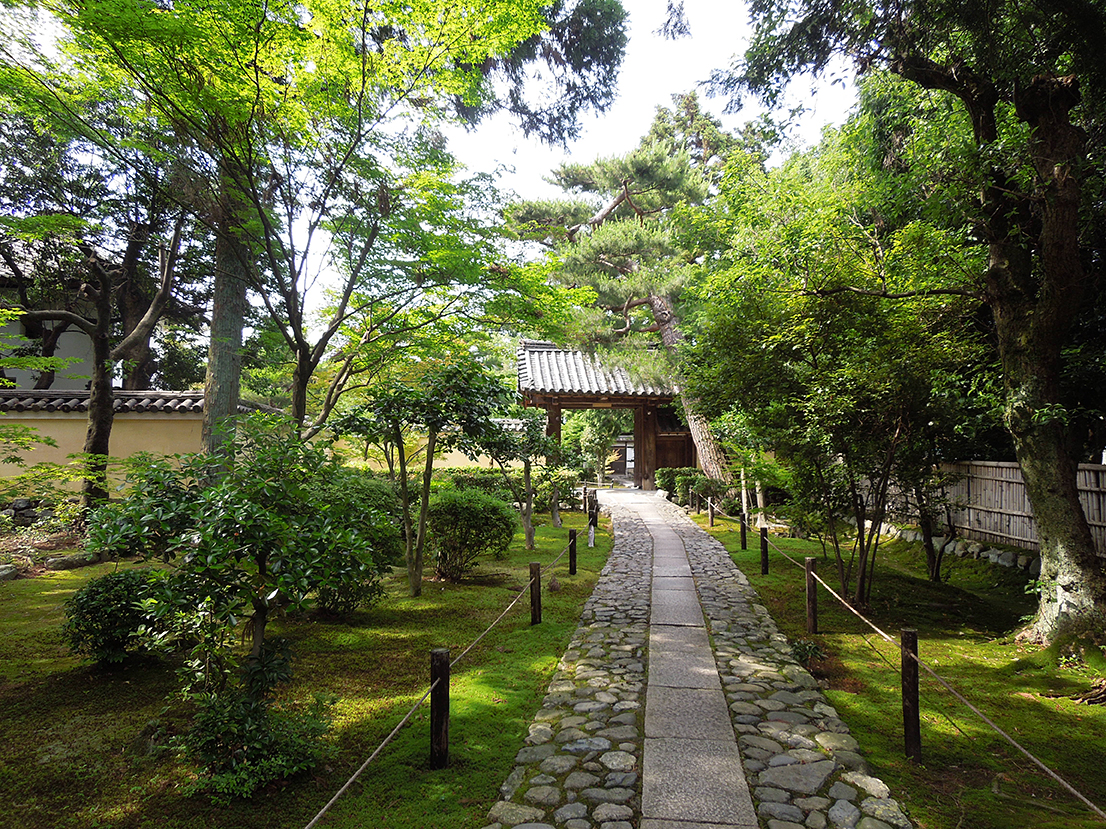 鹿王院