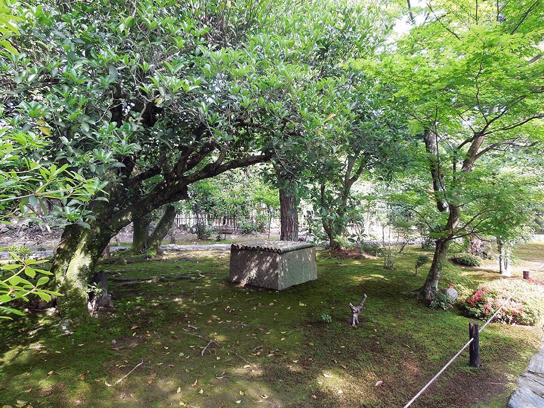 鹿王院