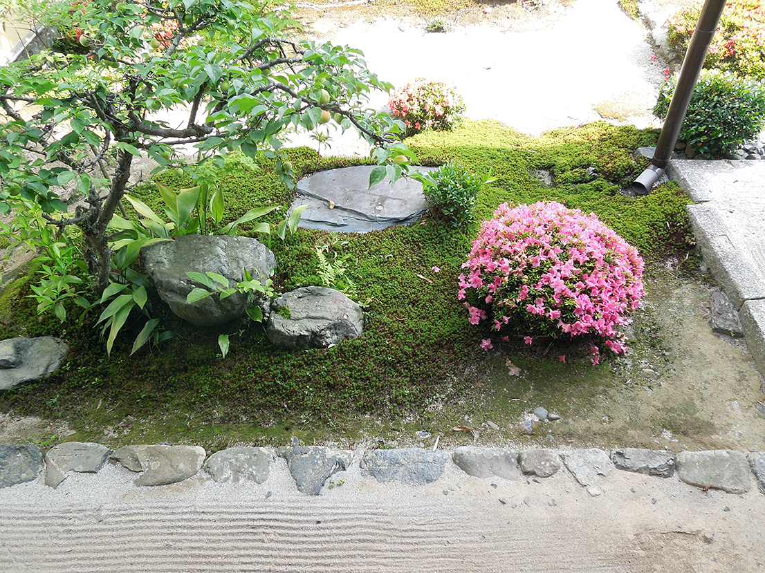 鹿王院