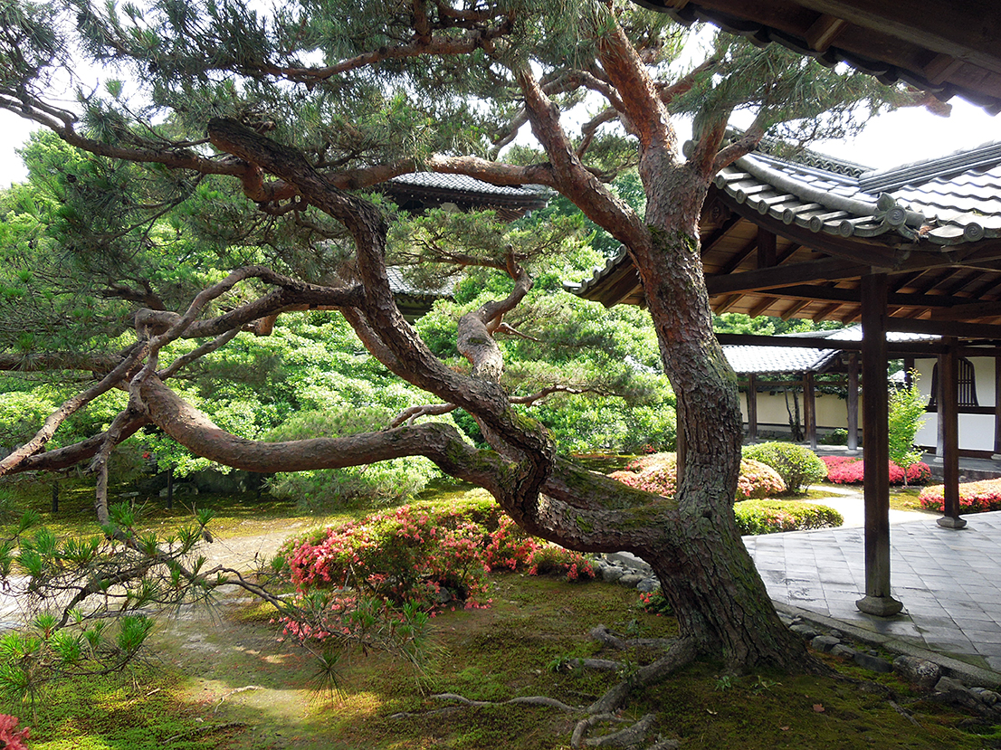 鹿王院