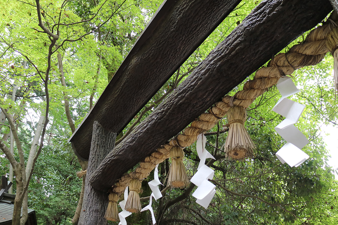 野宮神社