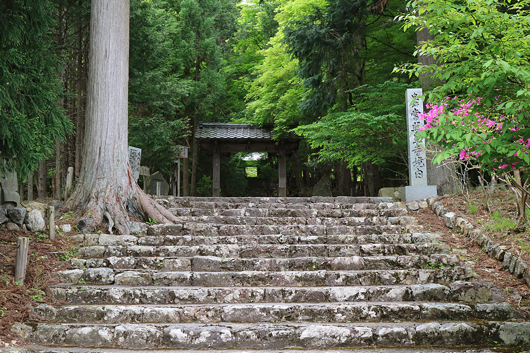 常照皇寺