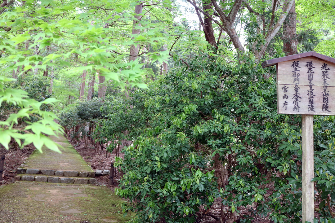 常照皇寺