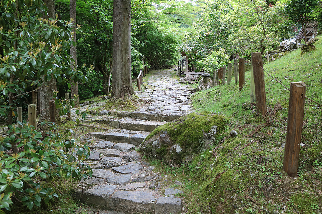 常照皇寺