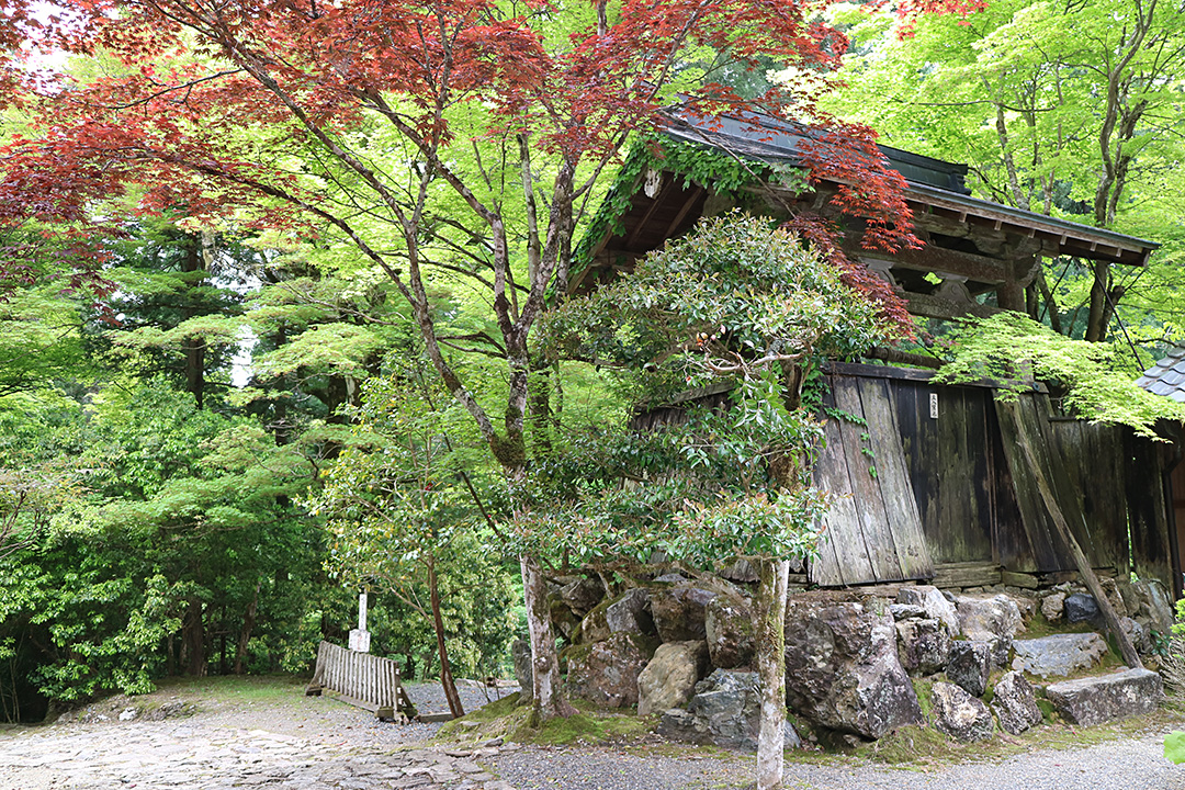 常照皇寺