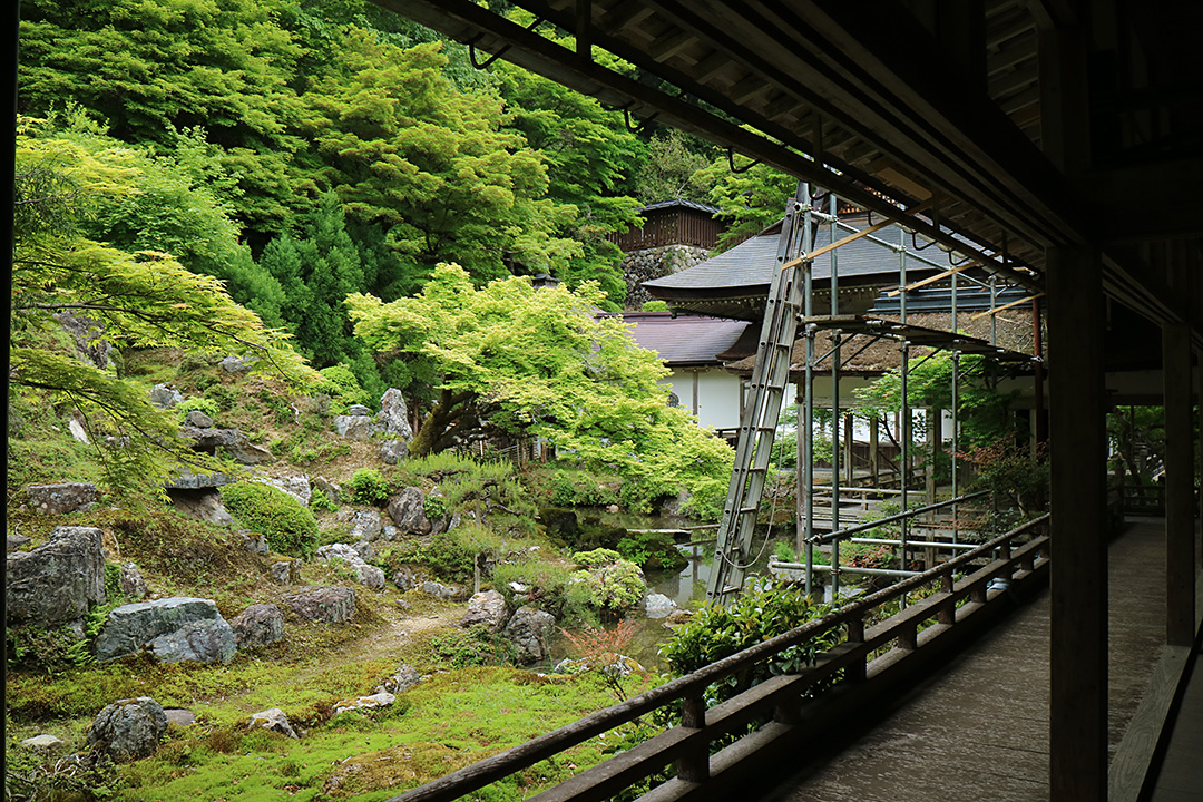 常照皇寺