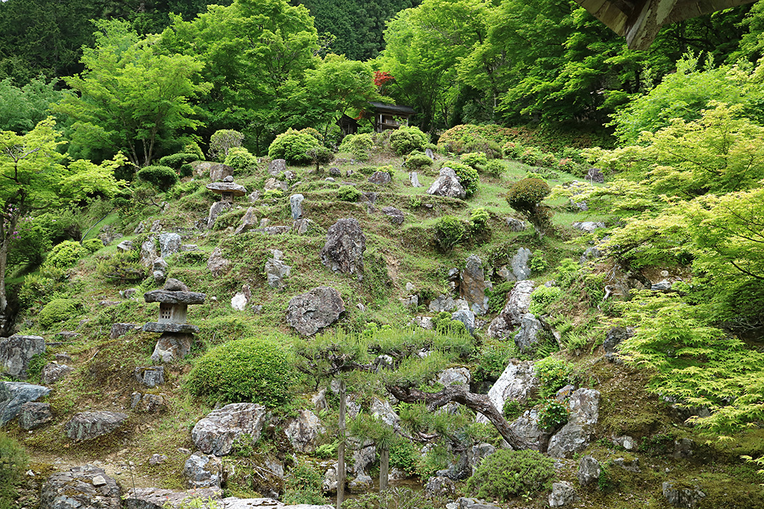 常照皇寺