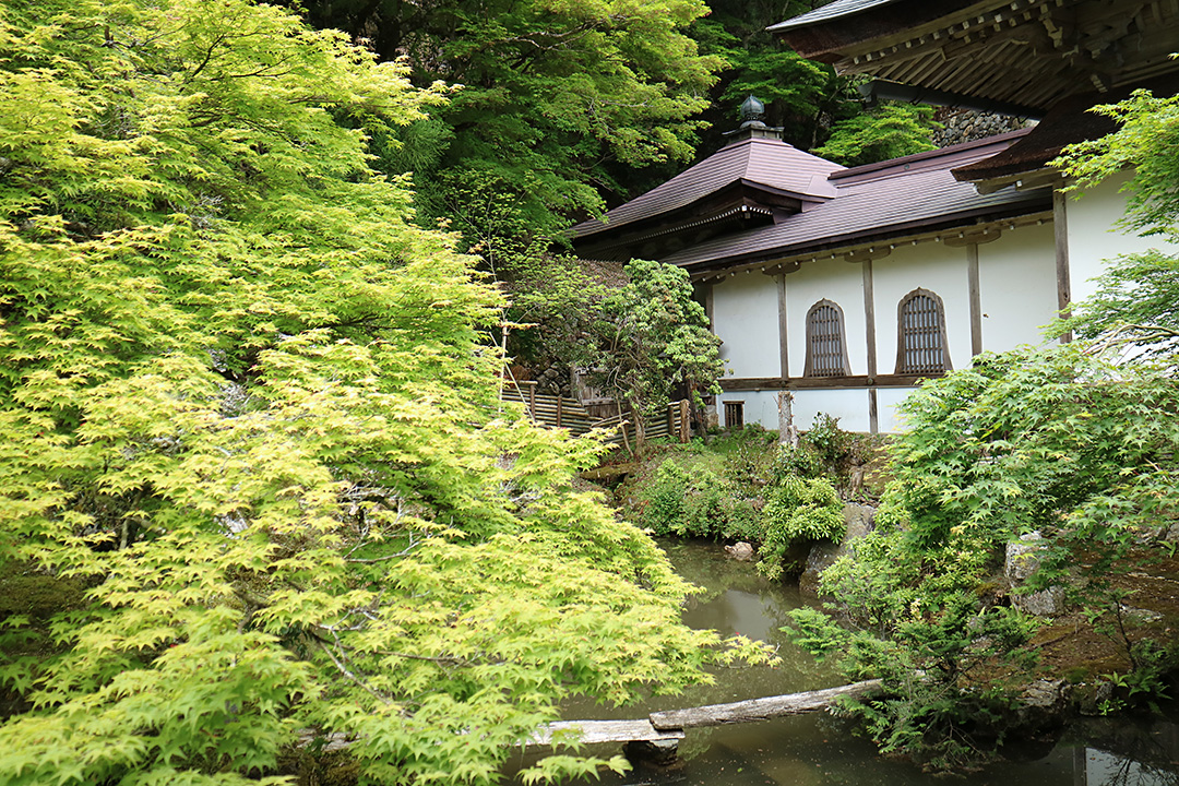 常照皇寺