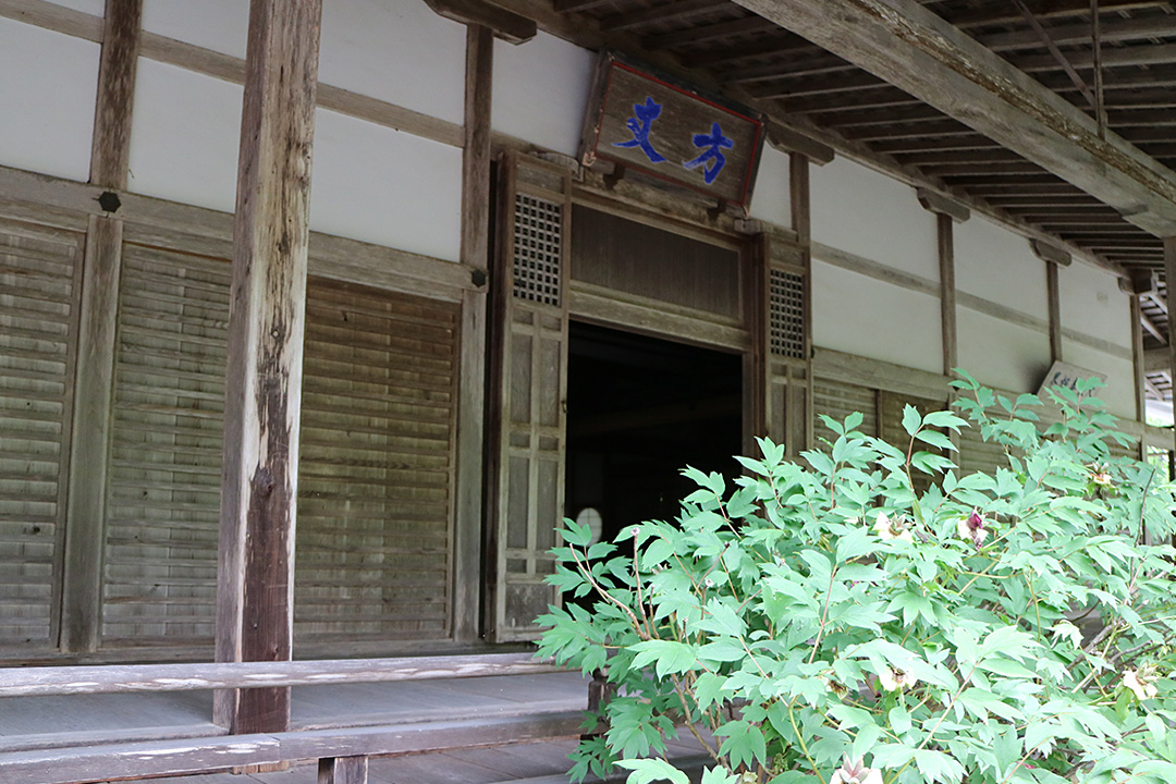 常照皇寺