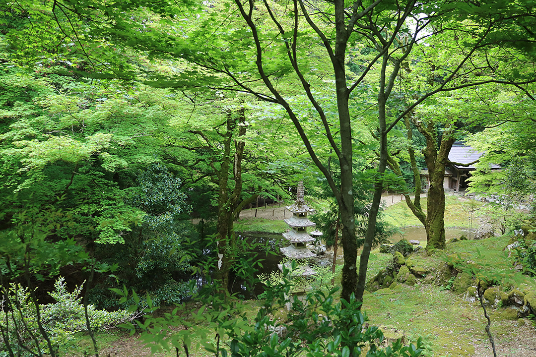 常照皇寺