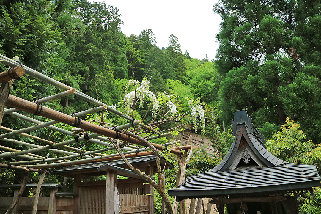 常照皇寺