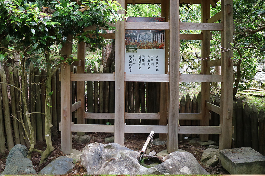 常照皇寺