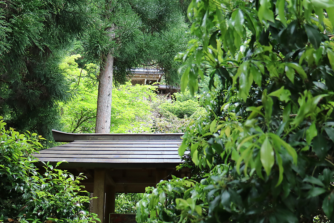 常照皇寺