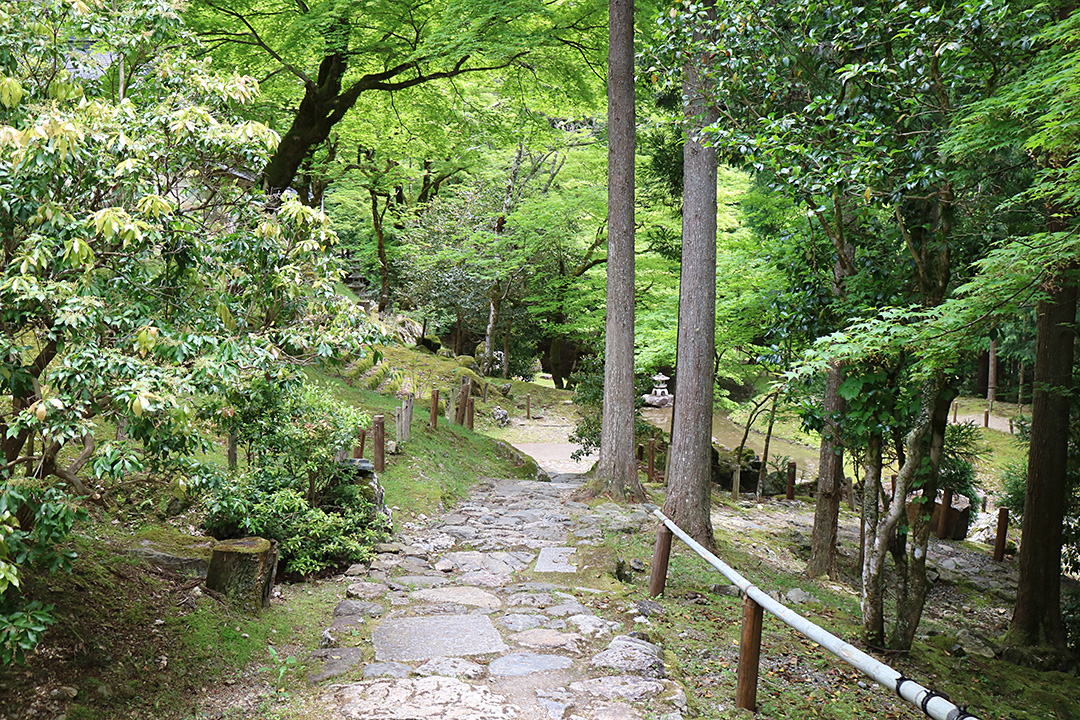 常照皇寺