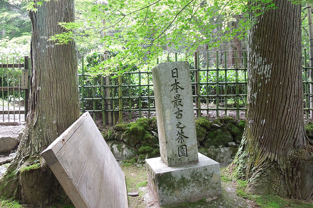 高山寺