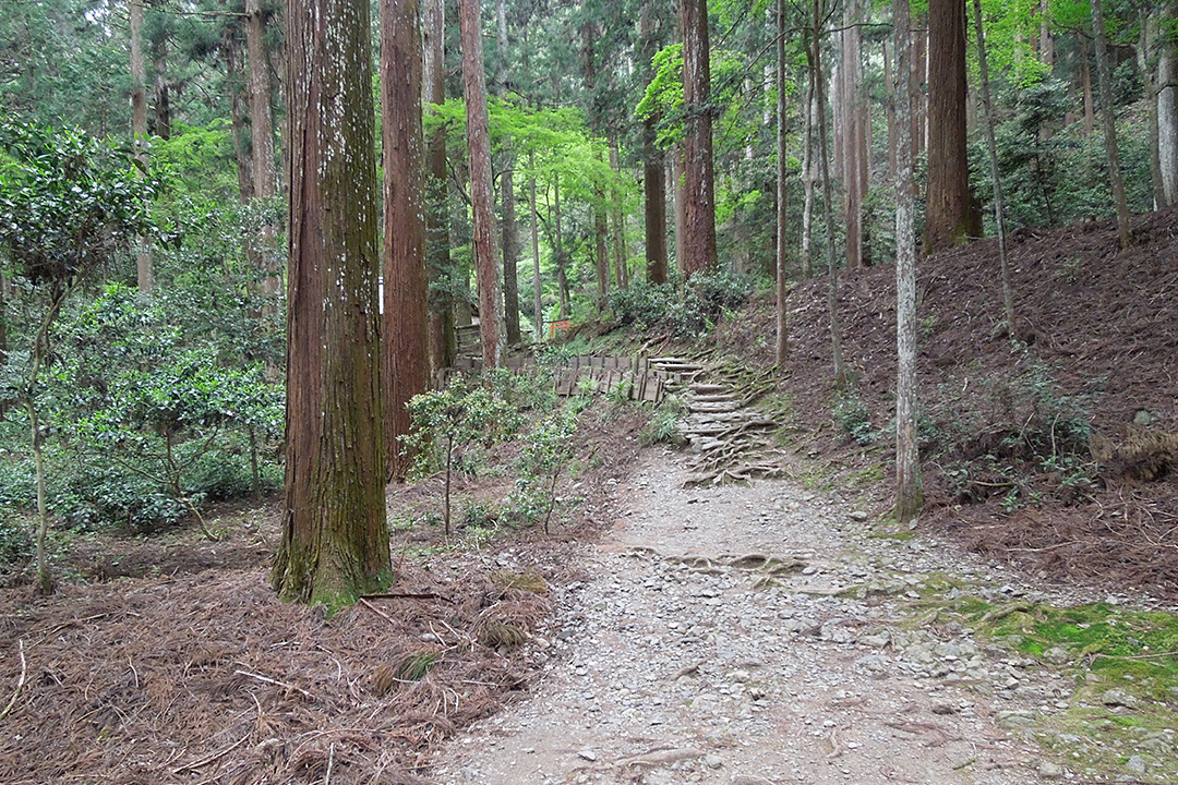 高山寺
