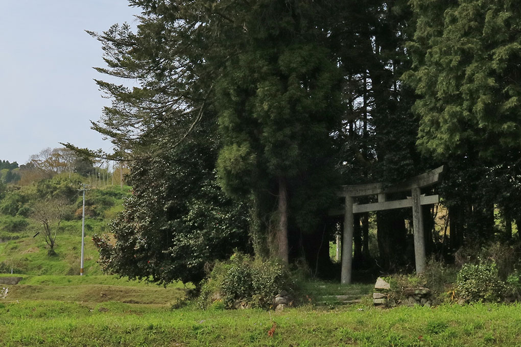 世屋姫神社