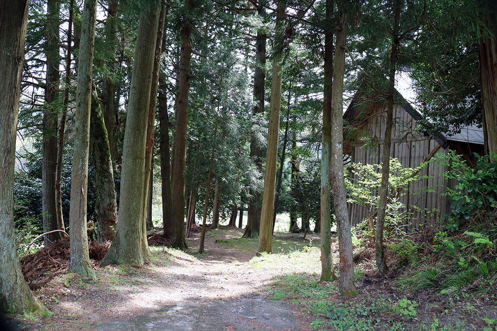 世屋姫神社